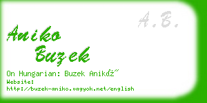 aniko buzek business card